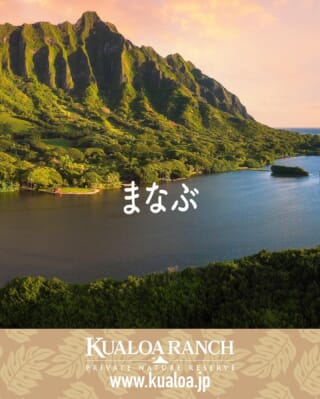 ハワイ クアロア・ランチ｜大自然の中で乗馬や四輪バギー、映画